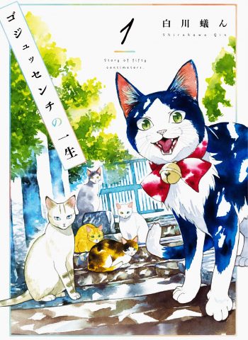 白川蟻ん《流浪猫的一生》全13卷下载【完结】